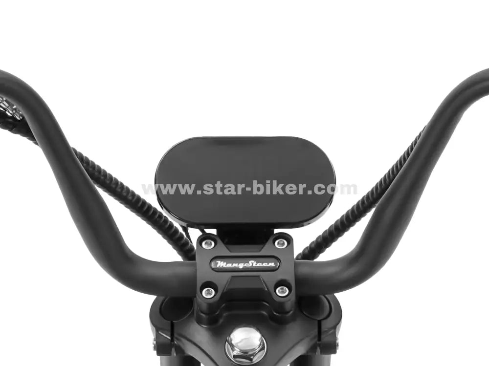 LCD-Anzeige des M2 Comfort mit Infos zu Akkustand, Geschwindigkeit, Fahrdaten und Gangwahl