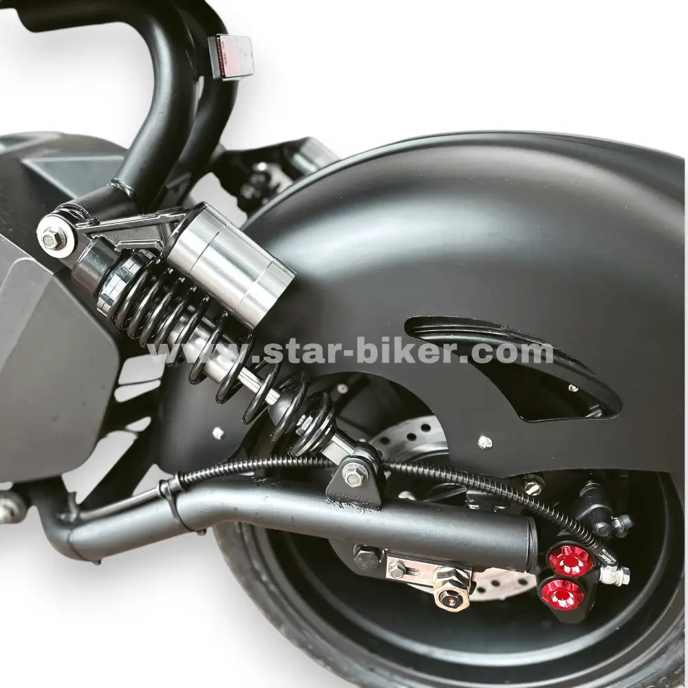 Hinterradaufhängung des Star-Biker Cruiser 3.0s mit Doppeldämpfer, Scheibenbremse und robustem Schutzblech. Detailansicht der Hinterradfederung.