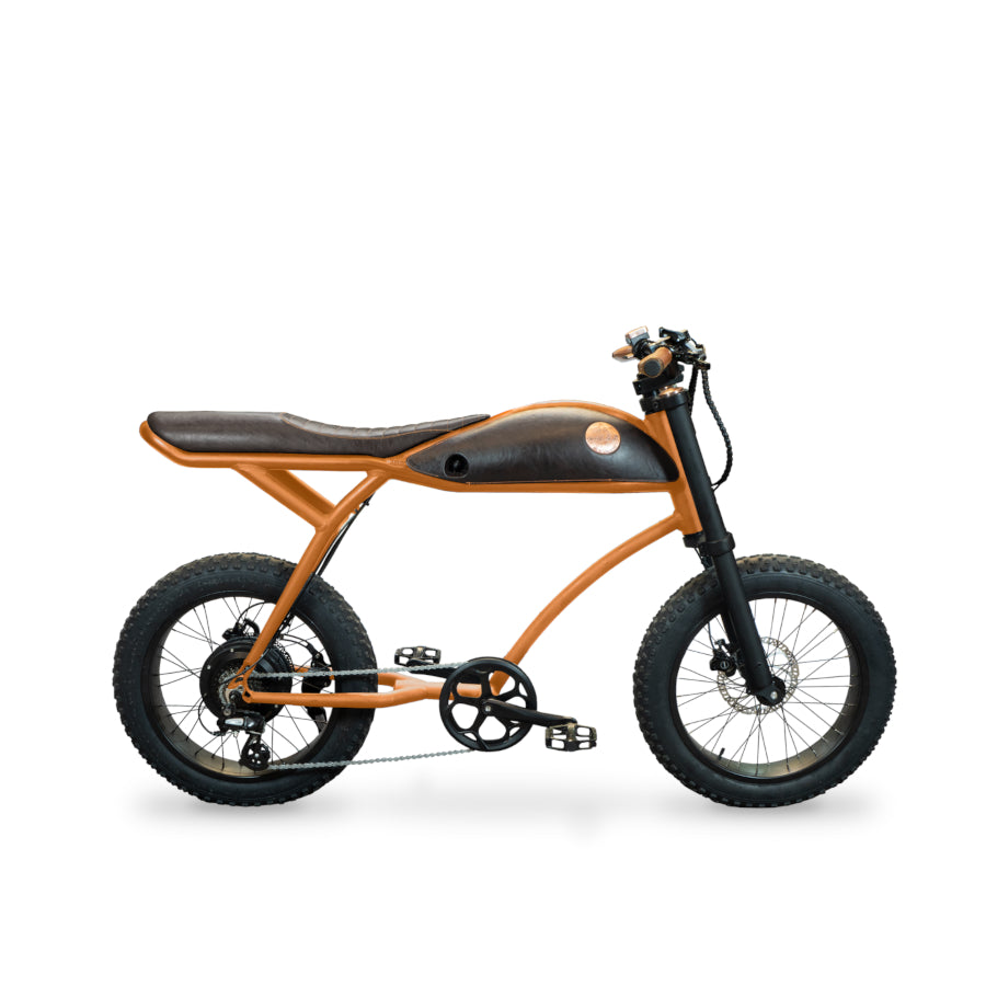 E-Bike Vintage & Retro bei Star-Biker - Rayvolt Ringo Elektro Fahrrad mit 25 km/h & Straßenzulassung jetzt kaufen