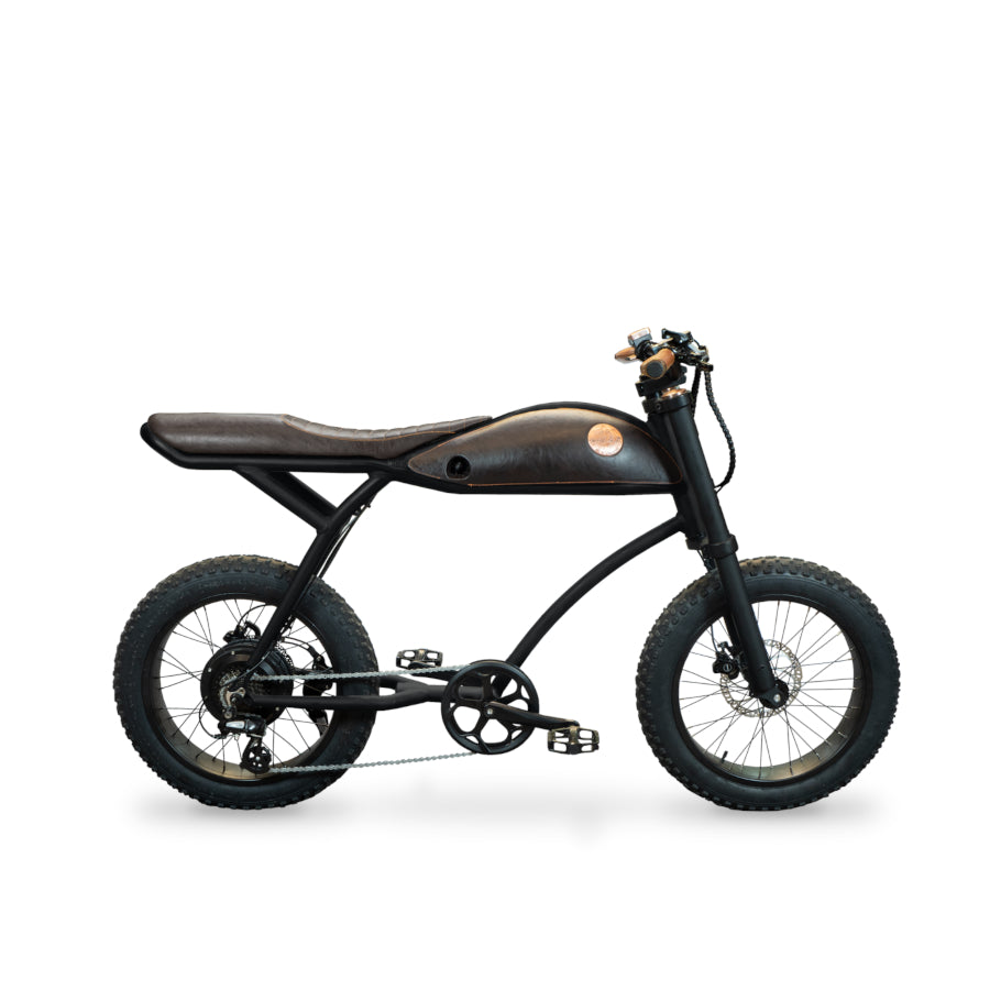 E-Bike Vintage & Retro bei Star-Biker - Rayvolt Ringo Elektro Fahrrad mit 25 km/h & Straßenzulassung jetzt kaufen