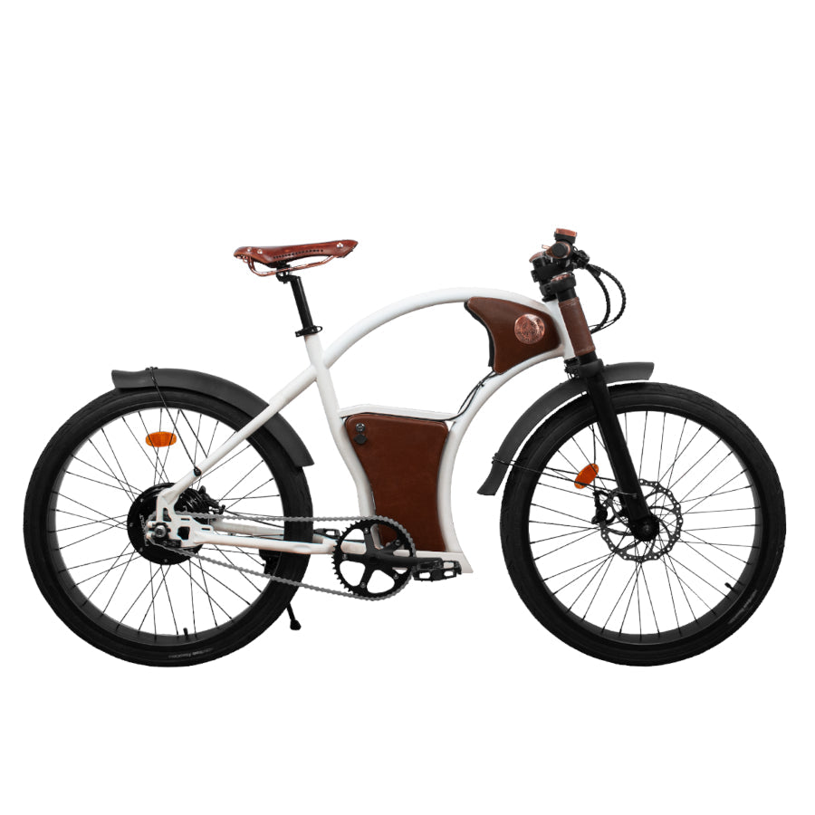 E-Bike Vintage & Retro bei Star-Biker - Rayvolt Torino Elektro Fahrrad mit 25 km/h & Straßenzulassung jetzt kaufen